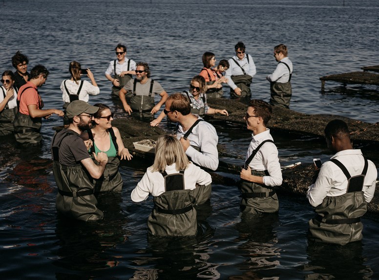 Oyster farm tour Yerseke