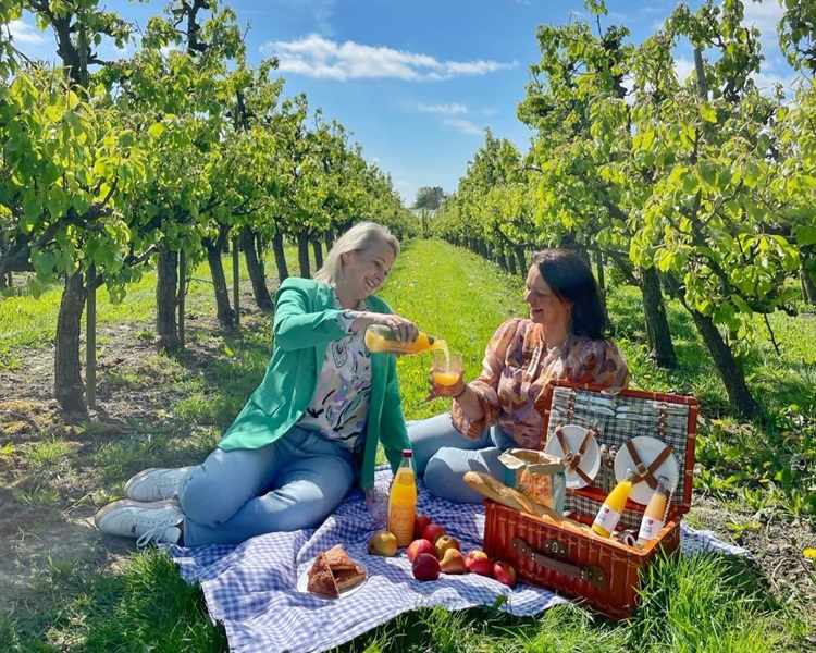 Picknicken tussen de boomgaarden van Zuid-Beveland