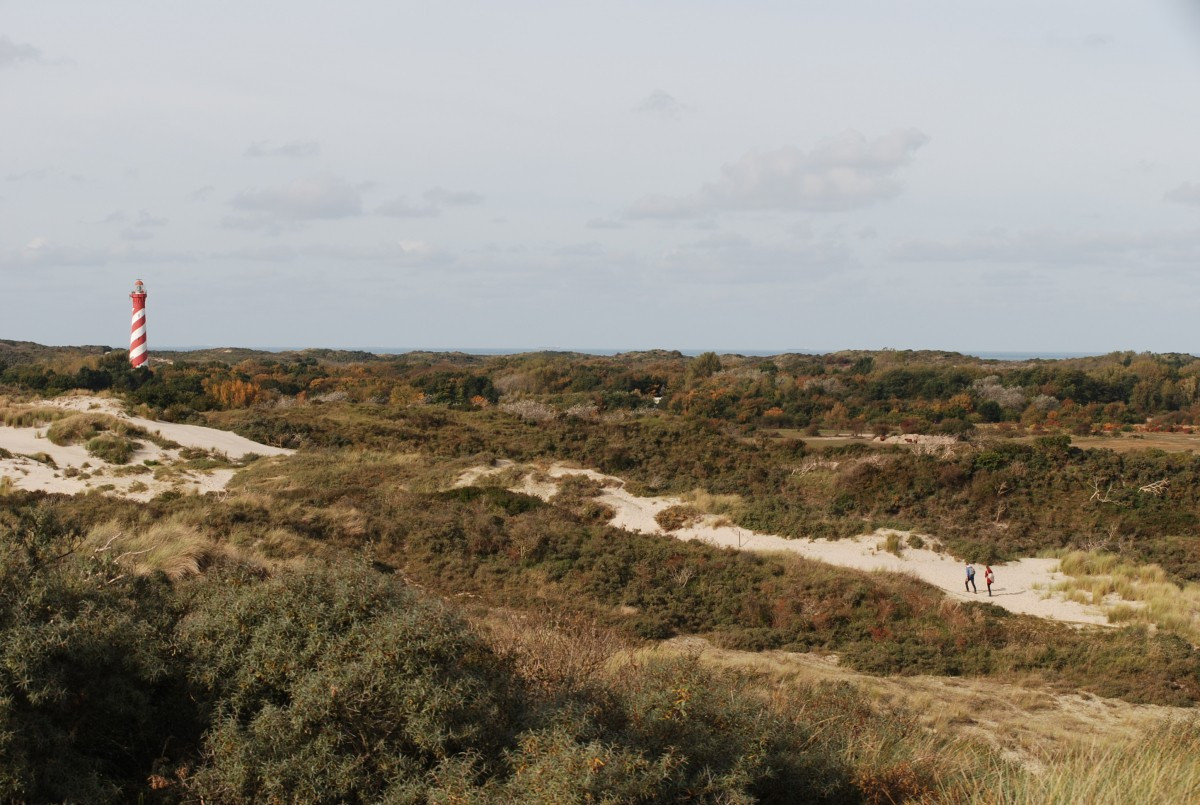 Ontdek Burgh-Haamstede | Zeeland.com