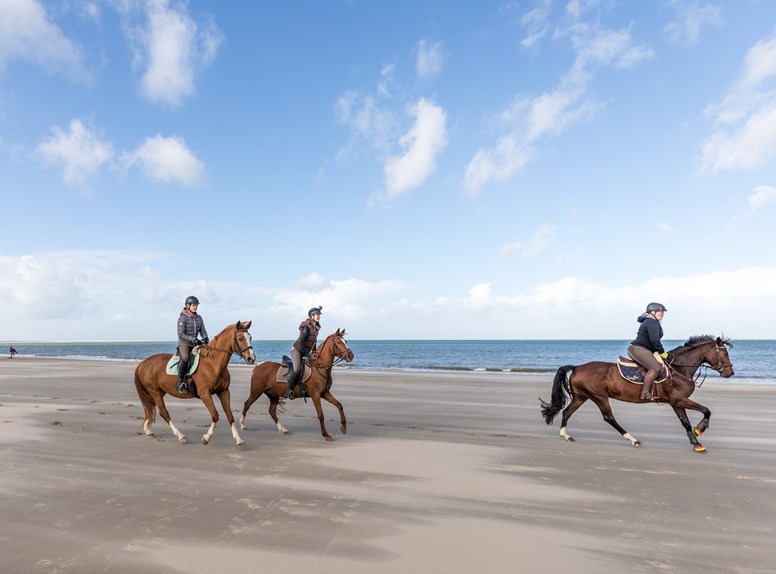 Horse-riding next to the sea