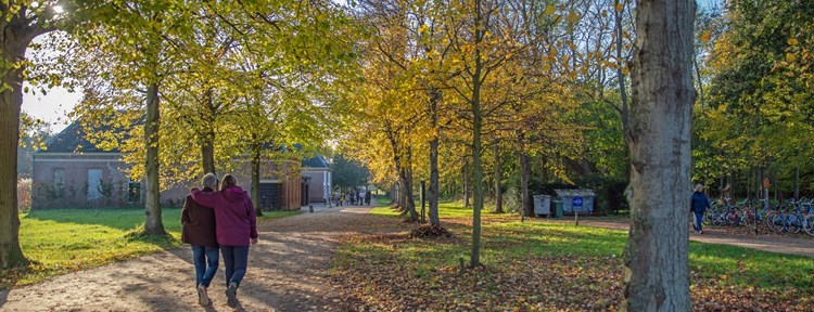 wandelen westhove bos