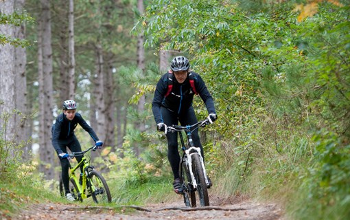 Westerschouwen mountainbike bos