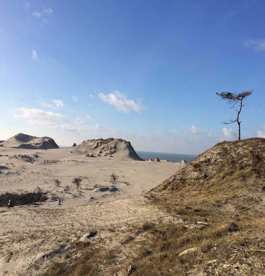 So Schmeckt Schouwen-Duiveland | Zeeland.com