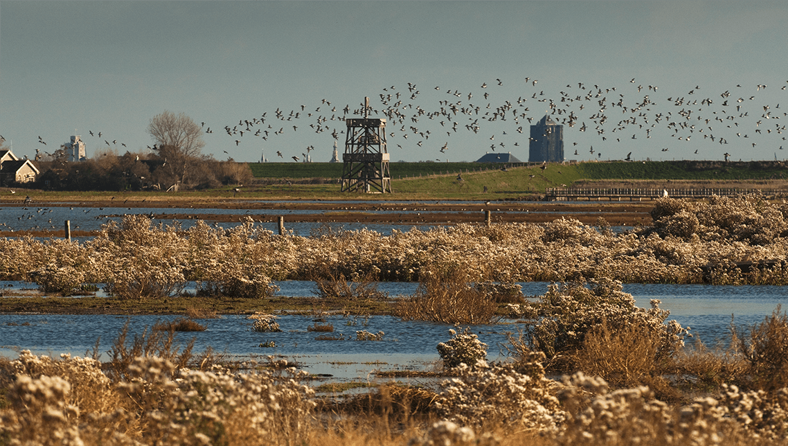 Schouwen-Duiveland | Zeeland.com